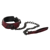 Collier & Laisse Scandal Collar with Leash
