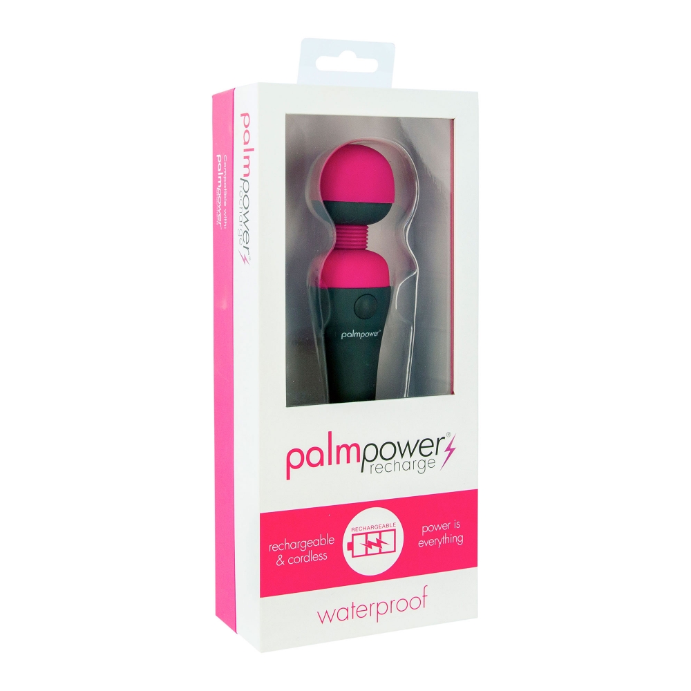 Stimulateur Wand PalmPower Recharge