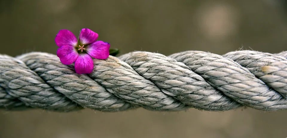 corde