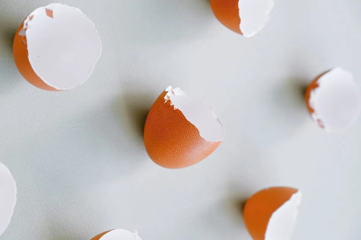 Coquilles d&rsquo;&oelig;ufs cass&eacute;es sur fond clair illustrant les &oelig;ufs vibrants utilis&eacute;s comme sextoys pour couples