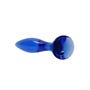 Plug Anal en Verre Borosilicate Follower