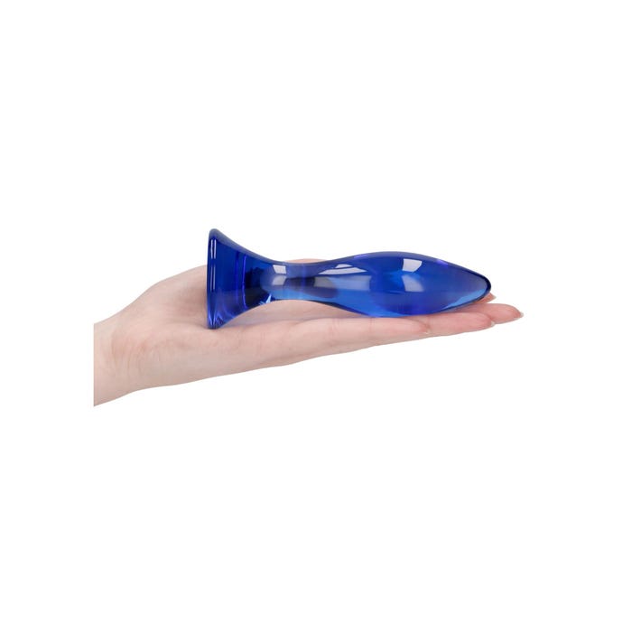 Plug Anal en Verre Borosilicate Follower