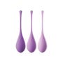 Kit Boules de Geisha Fantasy For Her Kegel Train-Her
