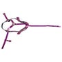 Harnais de Tête Violet