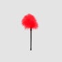 Plumeau Plume