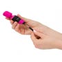 Stimulateur Wand Mini PalmPower Pocket