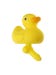 Canard de Bain Duck With a Dick