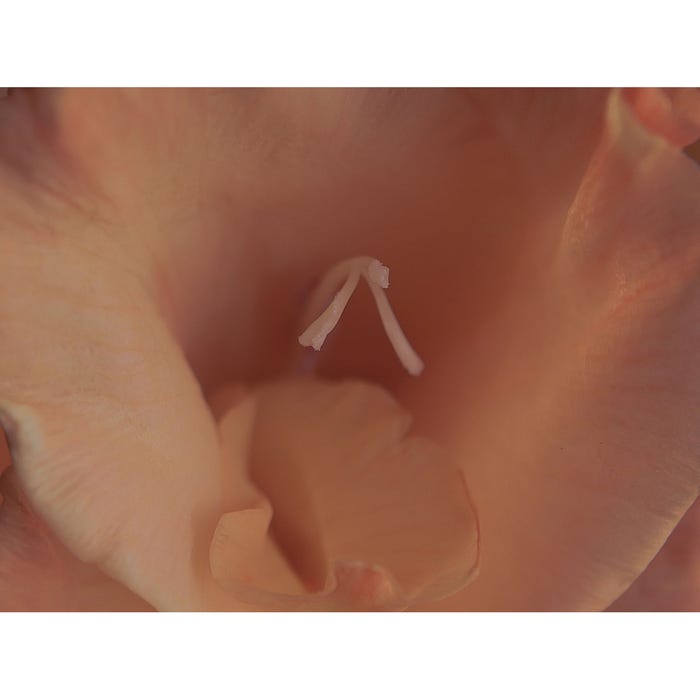 Baume Clitoridien Chauffant Slow Sex