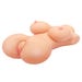 Masturbateur Bangers Virgin Fuck Babe
