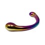 Dildo en Acier The Rainbow Curvy