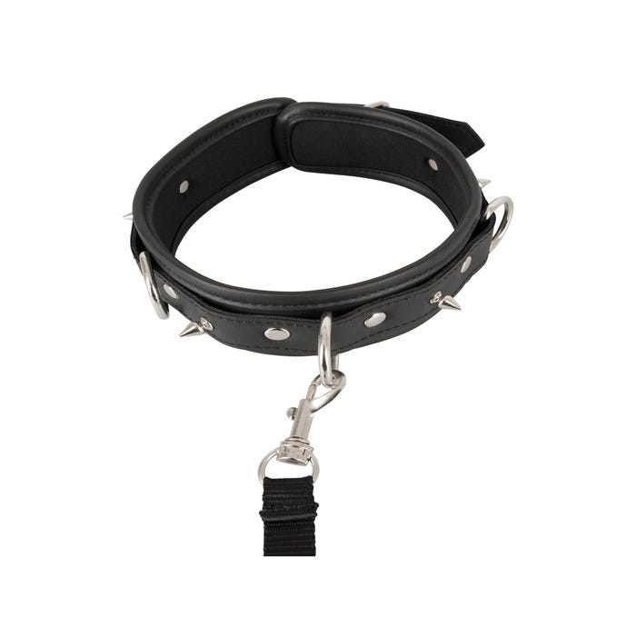Collier & Laisse Vegan Fetish