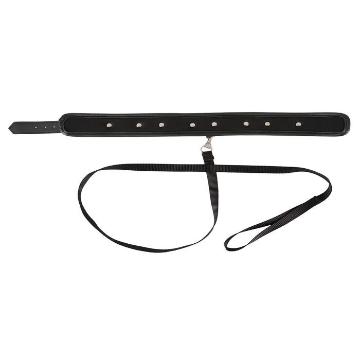 Collier & Laisse Vegan Fetish