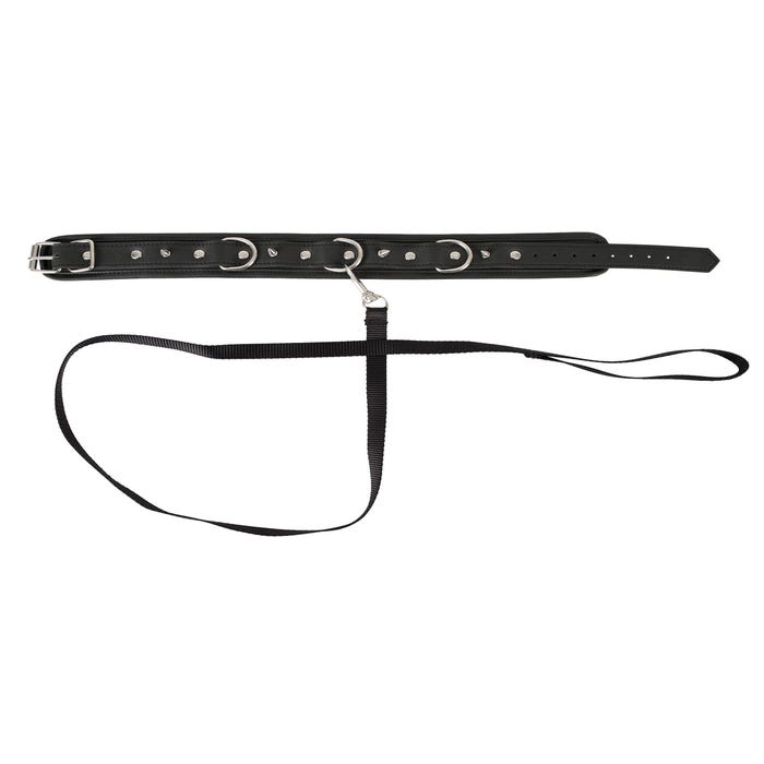 Collier & Laisse Vegan Fetish