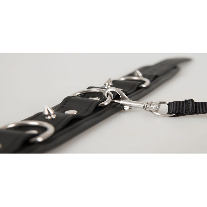 Collier & Laisse Vegan Fetish