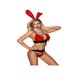 Costume 4 Pièces Lapine Sexy Rouge & Noir