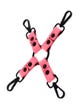 Attache hogtie phospho Taboom