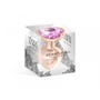 Plug Anal Aluminium Bijou Coeur Gloria M