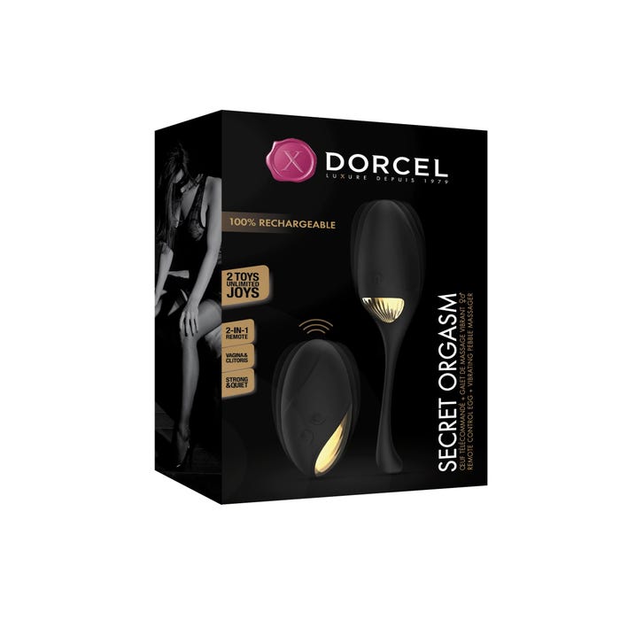 Oeuf Vibrant & Stimulateur Télécommandé Secret Orgasm