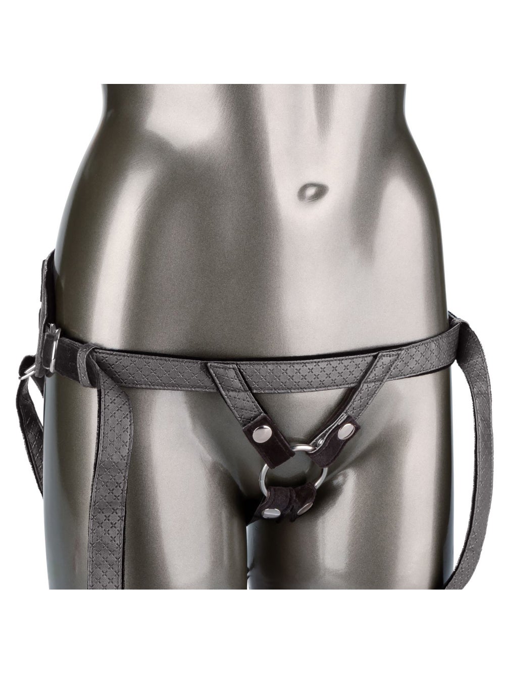 Harnais The Regal Princess 3