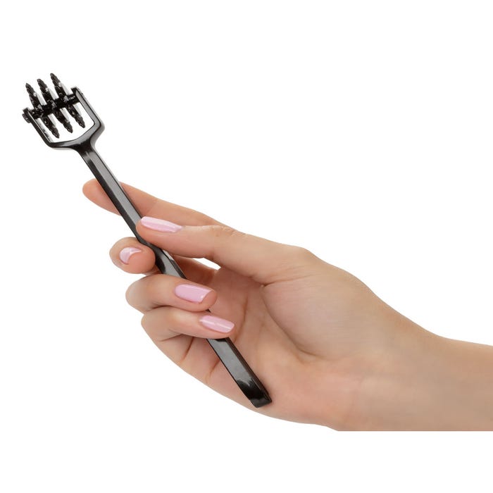 Roulette de Wartenberg Scandal Trio Pleasure Wheel