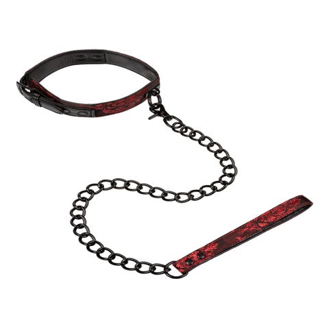 Collier & Laisse Scandal Collar with Leash