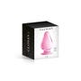 Plug Anal en Verre Glossy N°26