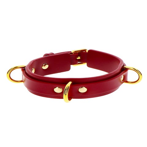 Collier BDSM D-Ring Taboom
