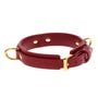 Collier BDSM D-Ring Taboom