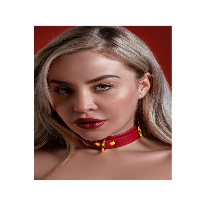 Collier BDSM D-Ring Taboom