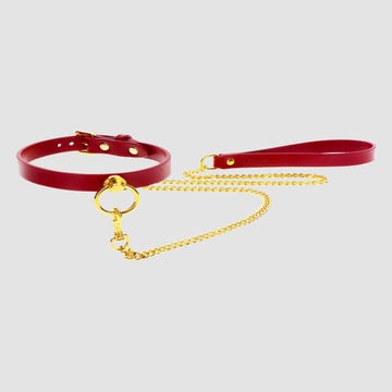 Collier & Laisse BDSM Taboom
