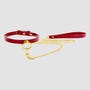 Collier & Laisse BDSM Taboom