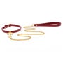 Collier & Laisse BDSM Taboom