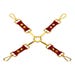 Attache Hogtie Bondage In Luxury