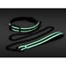 Collier & Laisse Phosphorescents GLO Bondage