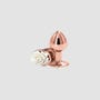 Plug Anal Bijou Rear Assets Rose Medium
