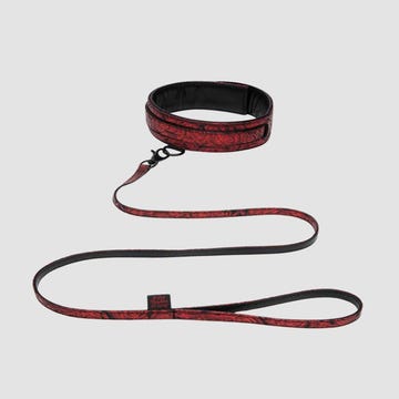 Collier & Laisse Sweet Anticipation
