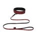 Collier et laisse Sweet Anticipation