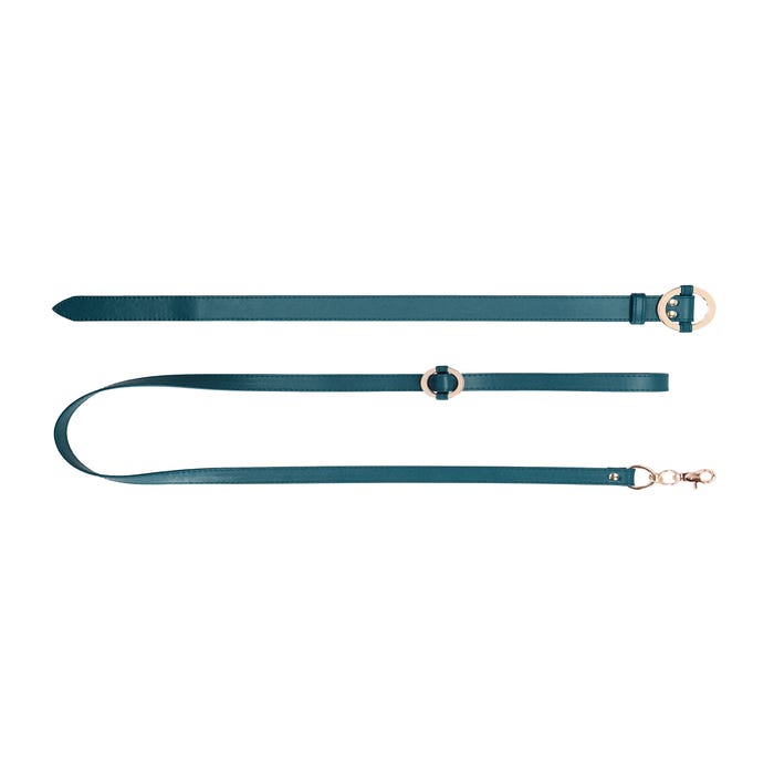 Collier & Laisse Halo