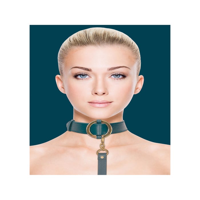Collier & Laisse Halo