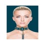 Collier & Laisse Halo