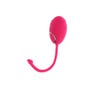 Oeuf Vibrant Télécommandé Lily Ivy