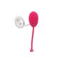 Oeuf Vibrant Télécommandé Lily Ivy