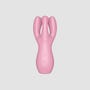 Stimulateur Satisfyer Threesome 3