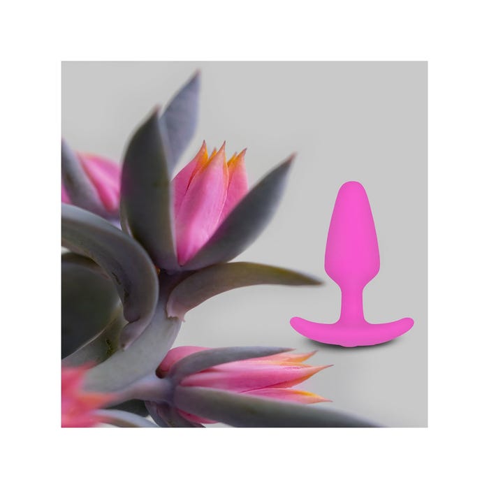 Plug Anal Vibrant Gplug Extra Small
