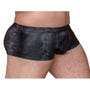 Boxer Motif Reptile Noir