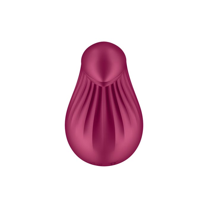 Stimulateur Satisfyer Dipping Delight