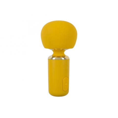 Vibromasseur Wand Your New Favorite