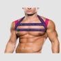 Harnais de Buste Rose & Violet