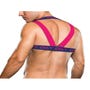 Harnais de Buste Rose & Violet