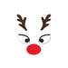 Cache-Tétons Rudolph